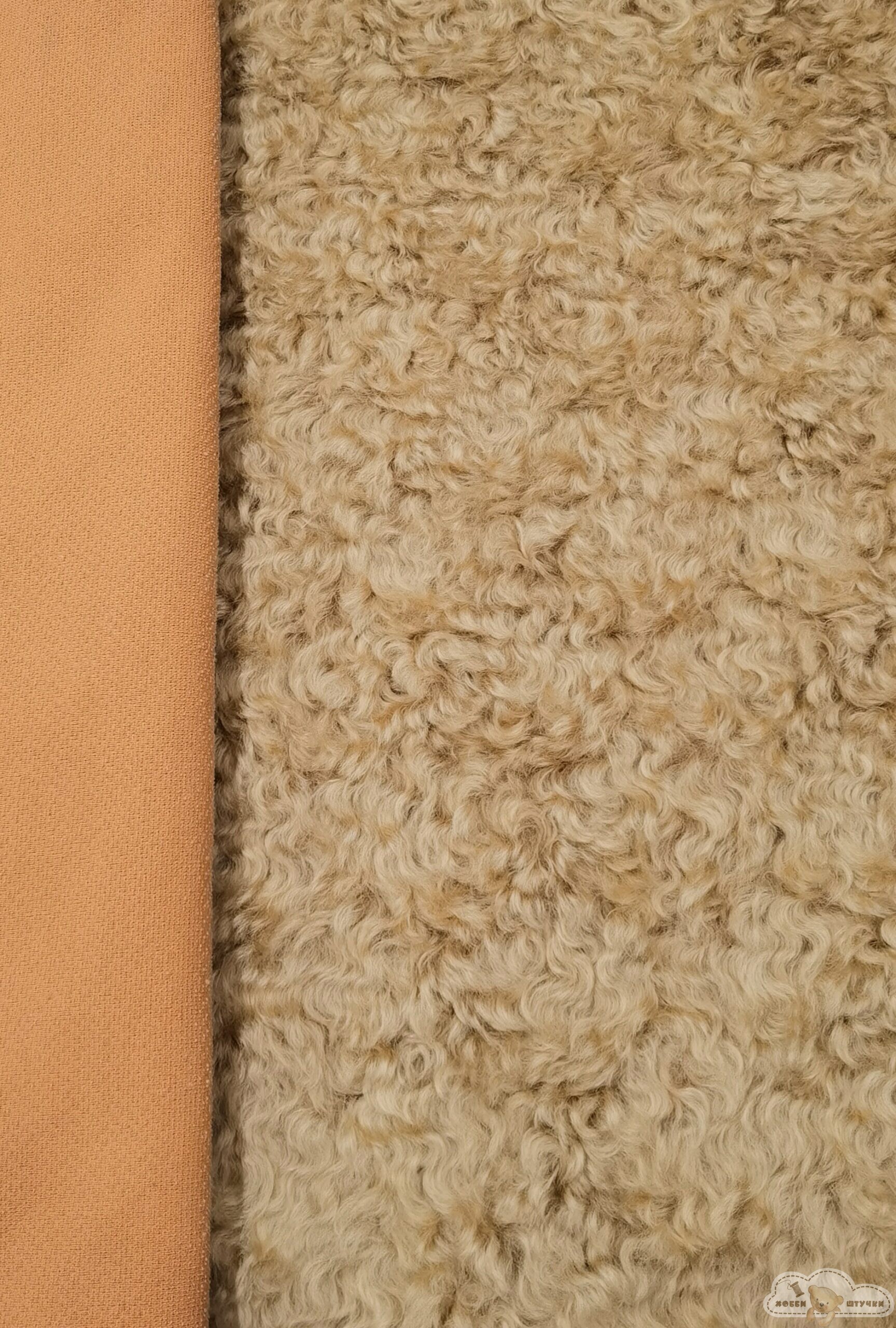 Главная